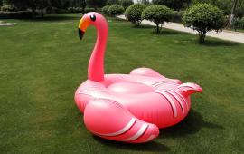 Original Flamingo Float
