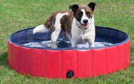 Pet Swimming Doggy Pool