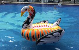 Artist Swan Pool Float