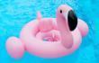 Baby Pink Flamingo Float
