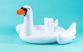 White Baby Swan Float